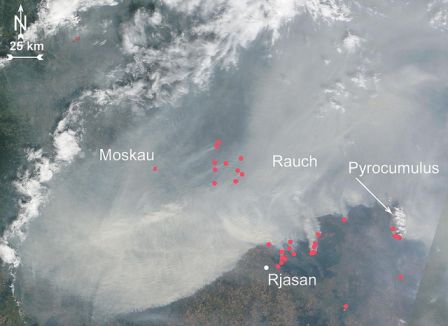 Vue satellite des feux de tourbe russe de 2010