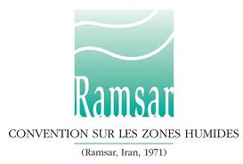 Logo de la convention de Ramsar sur les zones humides