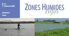 Couverture de Zones Humides Infos n°55 sur la chasse